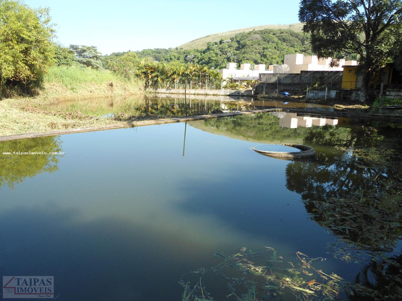 Terreno à venda com 2 quartos, 4000m² - Foto 4