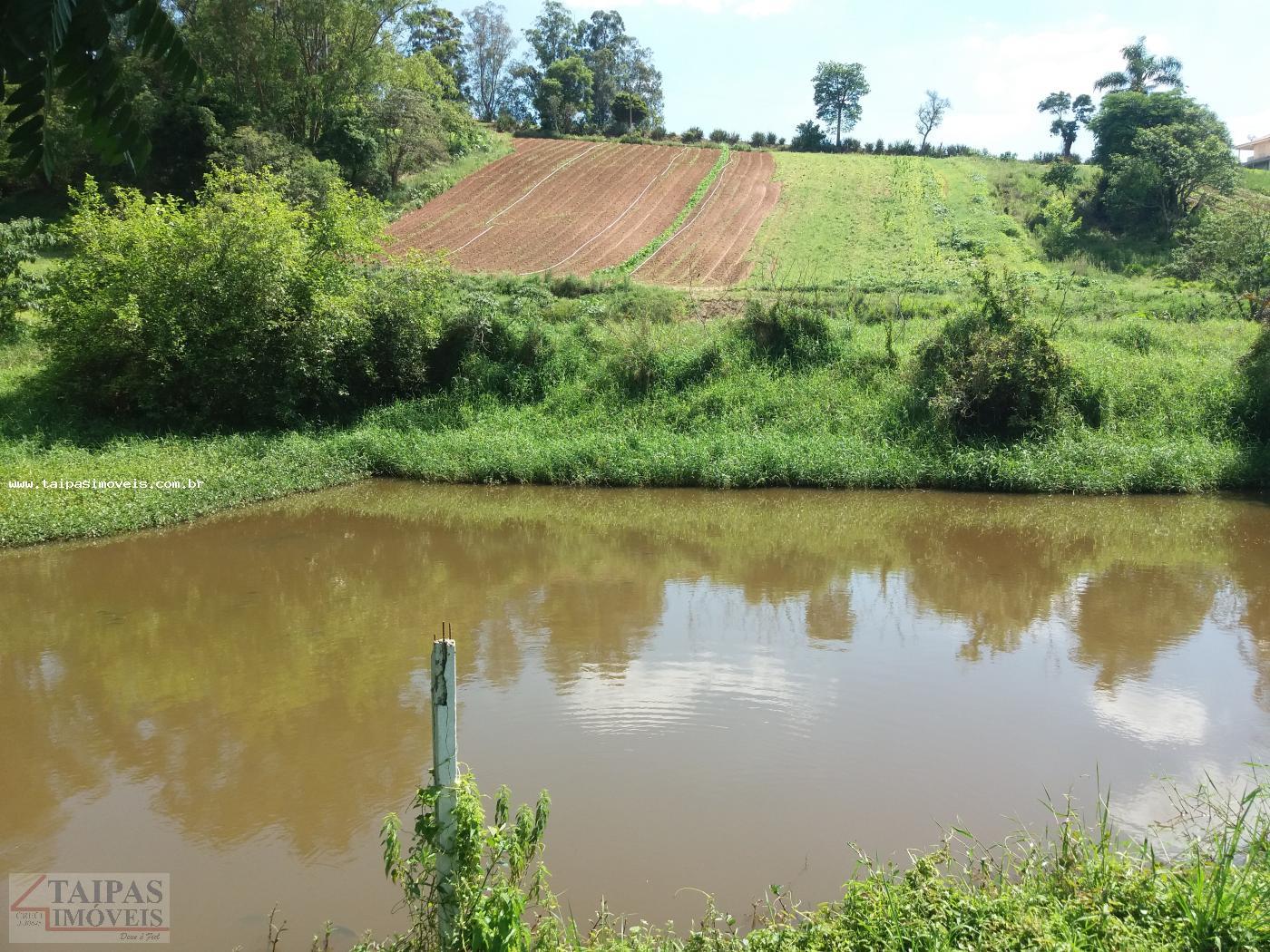 Terreno à venda com 2 quartos, 4000m² - Foto 6