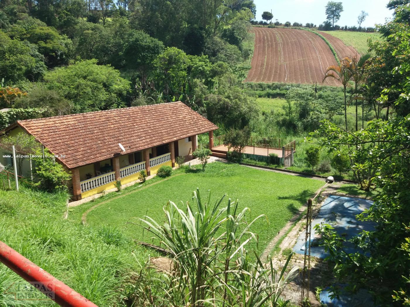 Terreno à venda com 2 quartos, 4000m² - Foto 7